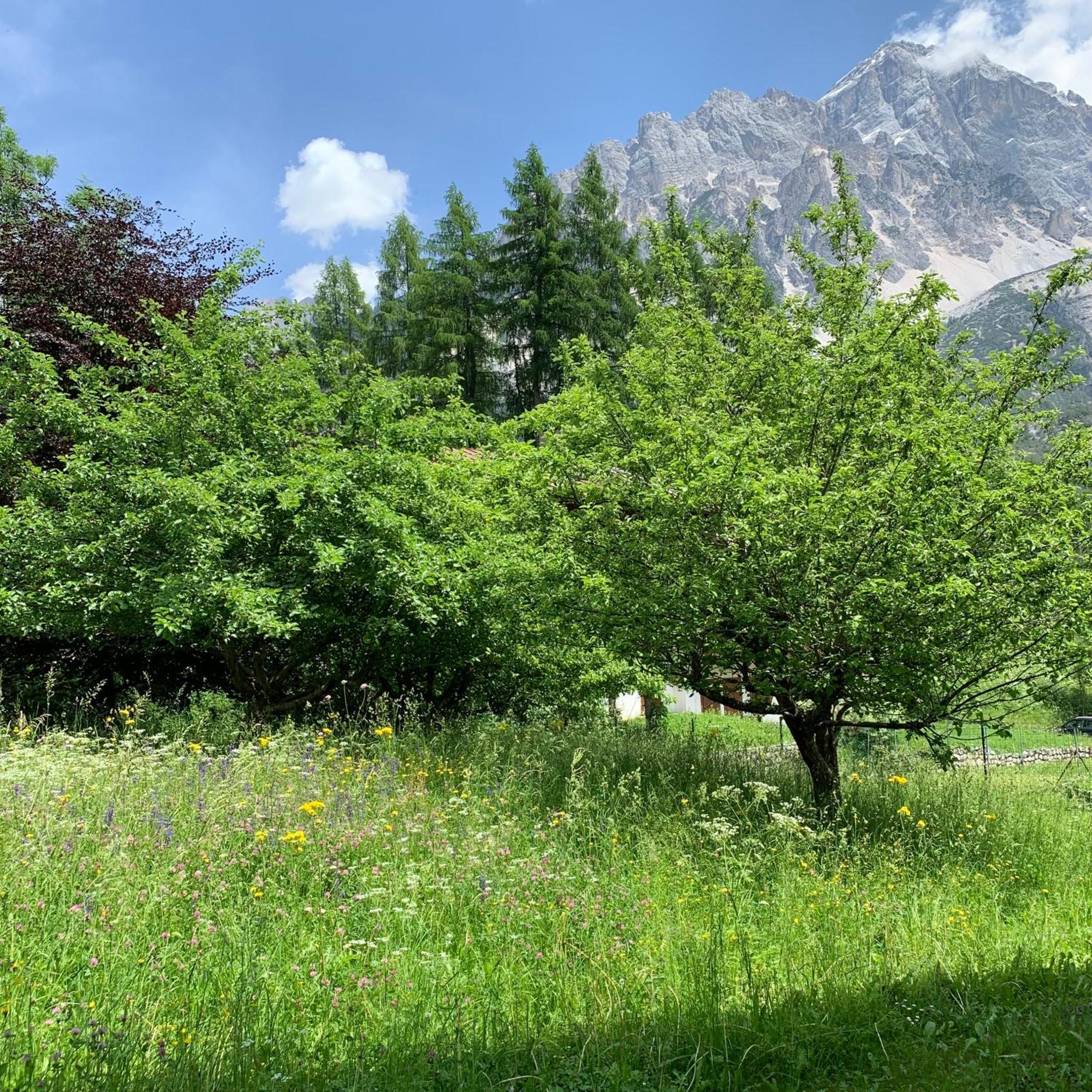 Ferienwohnung Piccolo Gioiello Di Montagna Villanova  Exterior foto
